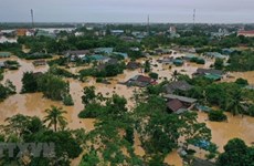 Vietnam necesita 400 mil millones de dólares para respuesta climática