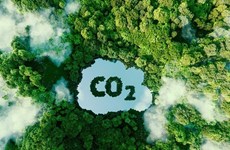 Promueven desarrollo del mercado de carbono en Vietnam