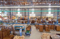 Recuperan exportaciones vietnamitas de productos de madera