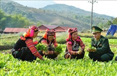 Mejoran vida de hogares pobres en zonas de minorías étnicas en Vietnam