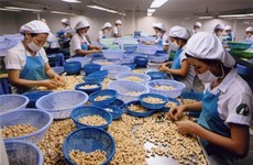 Productos agrícolas vietnamitas mejoran participación en cadena de suministro global