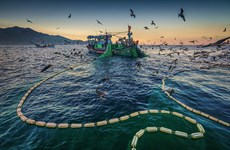 Vietnam insiste en retiro de tarjeta amarilla aplicada al sector pesquero