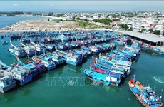 Vietnam fortalece inspección de actividades en puertos pesqueros