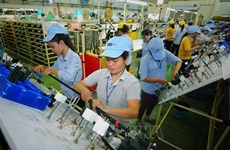 Soluciones para mejorar recursos humanos de semiconductores de Vietnam