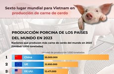 Sexto lugar mundial para Vietna﻿m en producción de carne de cerdo
