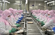 Recuperan exportaciones de camarón vietnamita a principales mercados