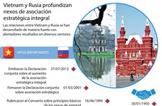 [Infografía] Vietnam y Rusia profundizan asociación estratégica integral