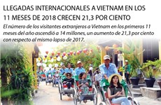[Info] Llegadas internacionales a Vietnam en los 11 primeros meses del año crecen 21,3 por ciento