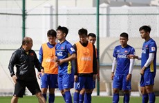 (Foto) Equipo de fútbol de Vietnam listo para Copa Asiática 2019