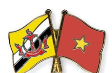  Felicita Vietnam a Brunéi por su Día Nacional