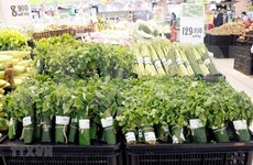 Interesada prensa internacional en uso de hojas de plátano en supermercados vietnamitas 