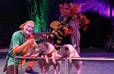 Desarrolla en Vietnam circo con animales domésticos