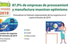 Muestran empresas optimismo sobre negocios en Vietnam en cuarto trimestre de 2019