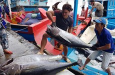Suben exportaciones de atún de Vietnam a México