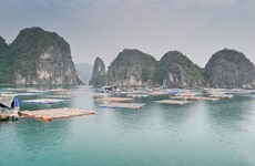 (Video) Aldea pesquera Cai Beo - pueblo flotante prehistórico más grande de Vietnam