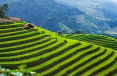 Elige CNBC a Mu Cang Chai en Vietnam atractivo destino para viajeros extranjeros