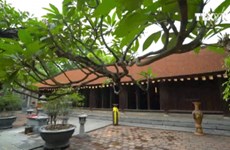 (Televisión) Pagoda Vinh Nghiem, recinto de patrimonio documental mundial