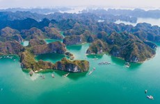 (Televisión) Actor de “Titanic” elogia belleza de bahía vietnamita de Lan Ha