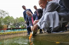 (Video) Embajador estadounidense disfruta de tradición vietnamita de liberación de peces