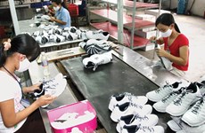 EVFTA: nuevo motor de crecimiento para la industria del cuero y calzado 