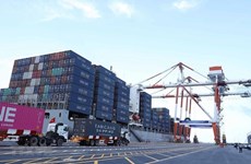 Tráfico de mercancías por puertos marítimos en Vietnam mantiene crecimiento 