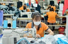 Exportaciones de Vietnam alcanzan casi 146 mil millones de dólares
