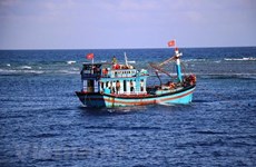 (Video)Garantizan seguridad de pescadores en medio del COVID-19 