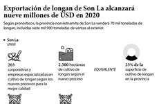Exportación de longan de Son La alcanzará nueve millones de USD en 2020