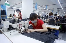 Fitch Solutions evalúa positivamente la industria textil de Vietnam