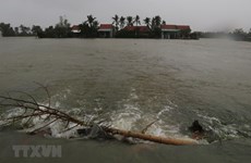 Inundaciones dividen áreas residenciales en provincia de Phu Yen