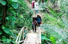 Provincia vietnamita impulsa ecoturismo junto con el desarrollo sostenible