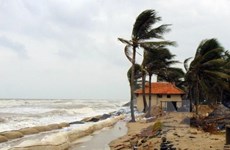 Desastres naturales le cuestan a Vietnam 1,5 por ciento del PIB anual 