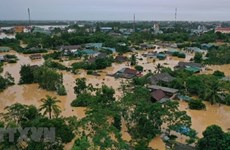 Climatólogos mundiales estudian tormentas e inundaciones severas en Vietnam ​