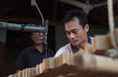 Establecer marcas propias: cuestión primordial para desarrollo de aldeas artesanales de Vietnam 