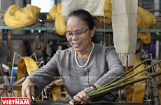 Tejer telas a partir de seda de loto, producto único de Vietnam