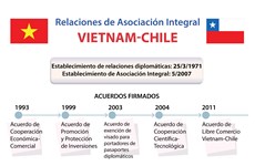 Relaciones de Asociación Integral Vietnam - Chile