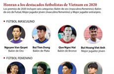 Honran a los destacados futbolistas de Vietnam en 2020