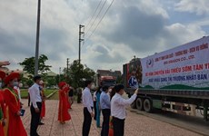 Impulsan la conexión entre empresas y agricultores para impulsar la venta de lichi de Bac Giang