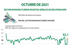Sector manufacturero muestra señales de recuperación en octubre