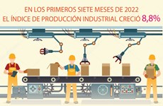 Índice de producción industrial creció 8,8% en los primeros siete meses de 2022