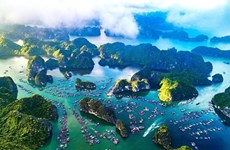 Vietnam aboga por desarrollar una economía marítima verde