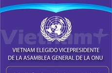 Vietnam elegido presidente de la Asamblea General de la ONU