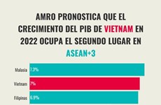 Crecimiento del PIB de Vietnam ocupa el segundo lugar en ASEAN+3 