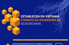 Establecen fondos de inversión de blockchain en Vietnam