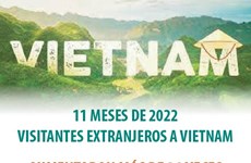 Número de visitantes extranjeros a Vietnam creció en primeros 11 meses de 2022