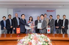 VinES y Marubeni cooperan para desarrollar sistema de baterías de almacenamiento de energía 