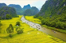 Turismo de provincia de Ninh Binh registra cifras impresionantes