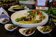 Establecen récord vietnamita de 100 deliciosos platos elaborados a partir de alcachofas
