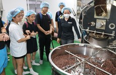 Sabor del auténtico chocolate vietnamita atrae a visitantes a la región del suroeste