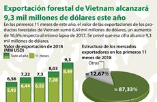 [Info] Exportación forestal de Vietnam alcanzará 9,3 mil millones de dólares este año